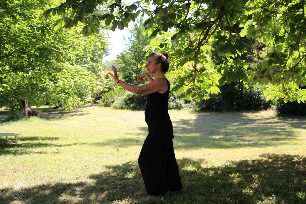 腎氣功：守護腎氣，強身健體的養生功法